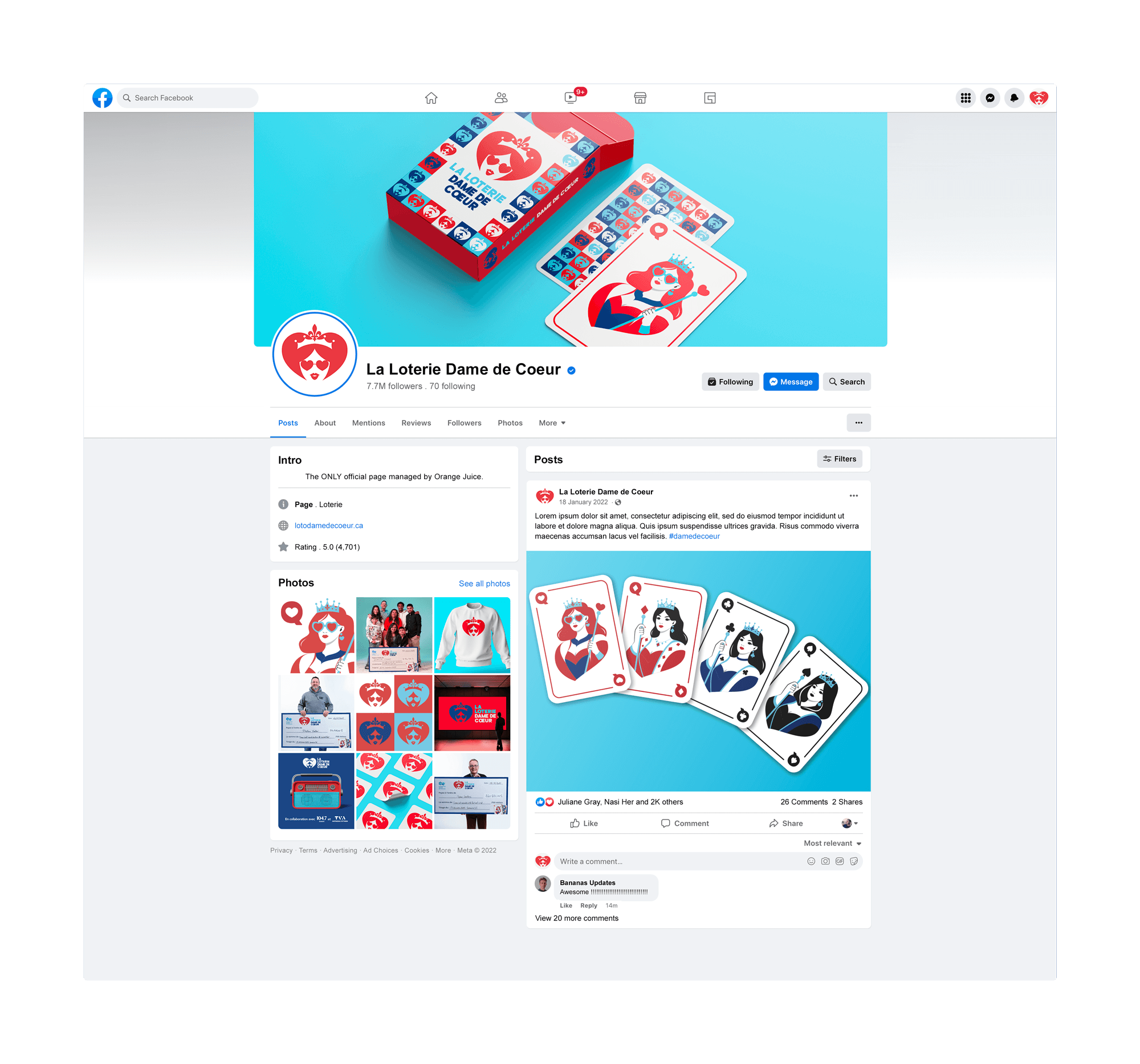 Facebook page brand application